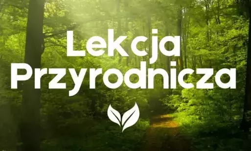 Zdjęcie przedstawia rozmazany las w tle oraz biały napis lekcja przyrodnicza